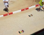 21686005 10214226200958481 8383690874676940011 n